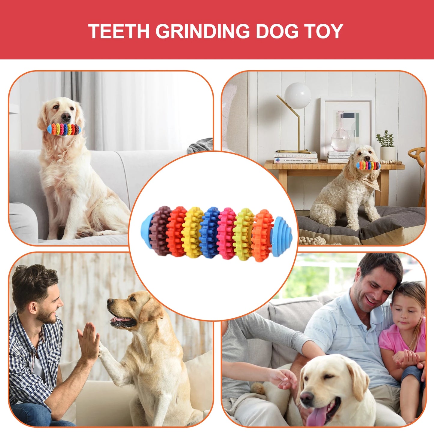 Dog Teething Toys Colorful Dog Chew Toys Dog Teeth Cleaning Toys Multifunctional Small Dog Teething Toys for Indoor Outdoor