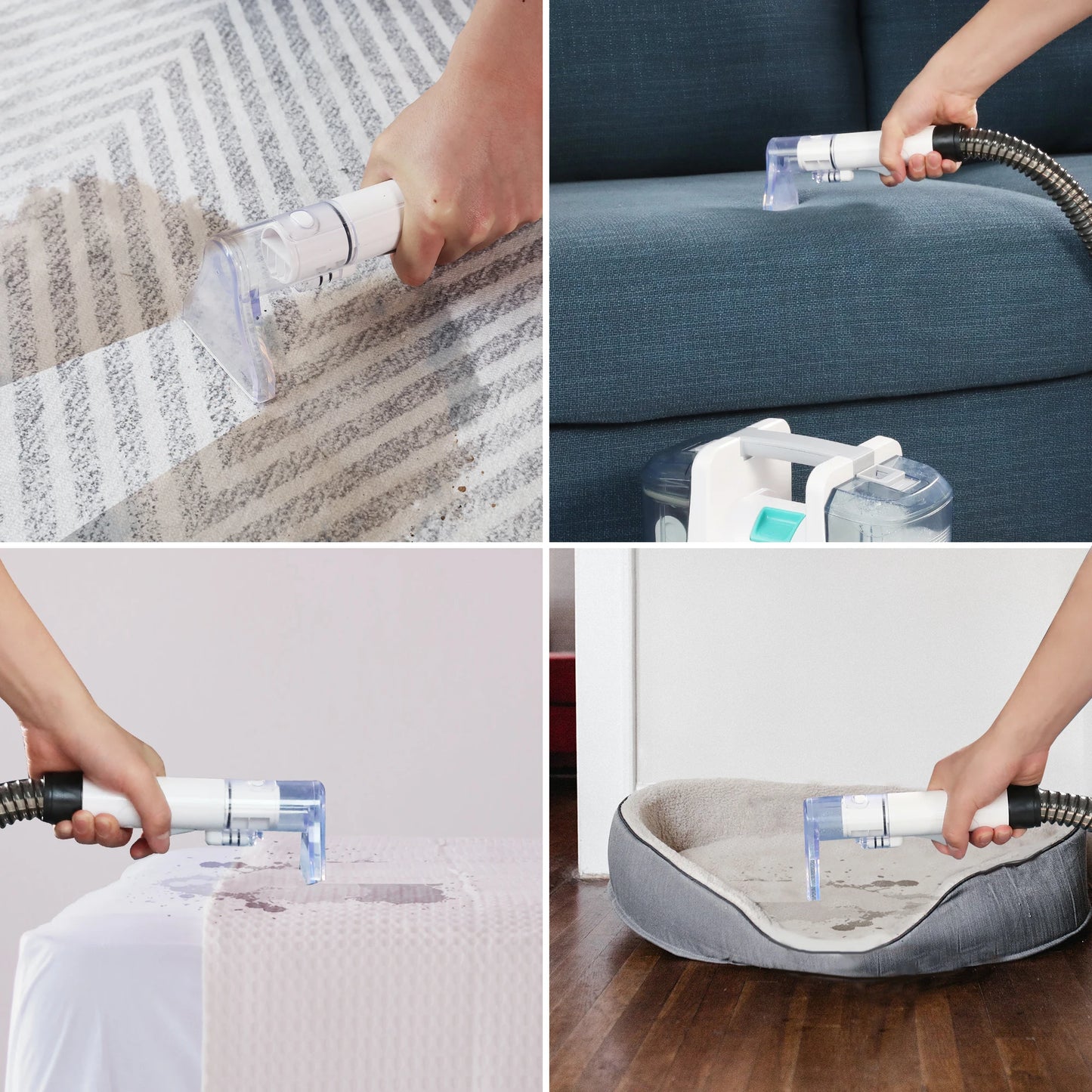 HAUSHOF StainZapper Spot Carpet Cleaner Machine 400w Portable Carpet and Upholstery Cleaner