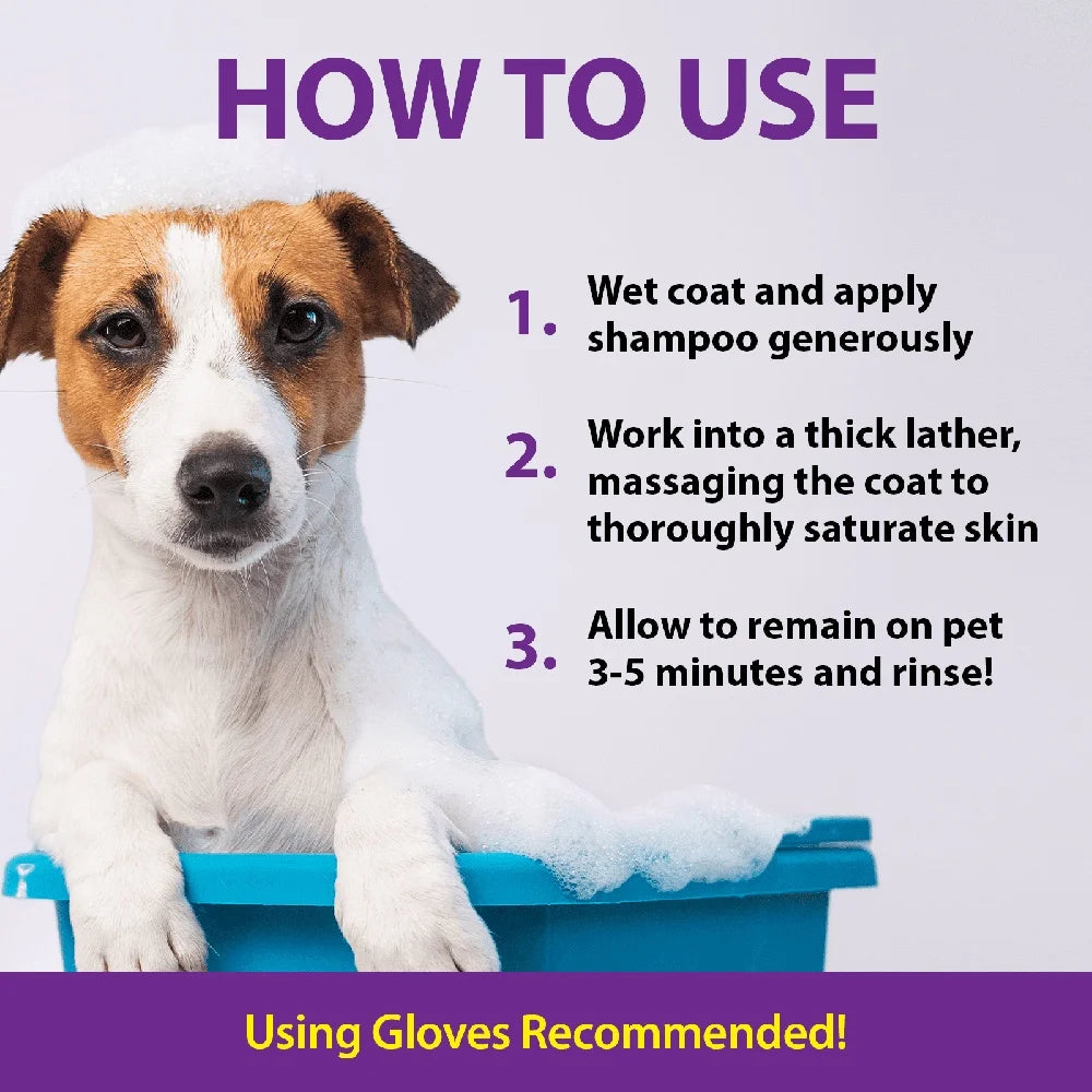 Odor Eliminating Shampoo Dogs Safe Gentle Cleaning All Surfaces Carpets Furniture Collars Easy to Use Deep Clean Quality Formula