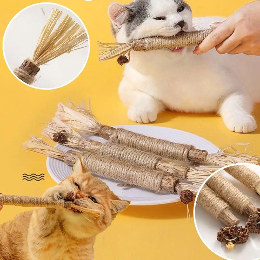 1/2/5/10PCS Pet Toy Natural Pet Cat Snacks Stick Cleaning Tooth Catnip Cat Toys Actinidia Silvervine For Training Cats Accessory