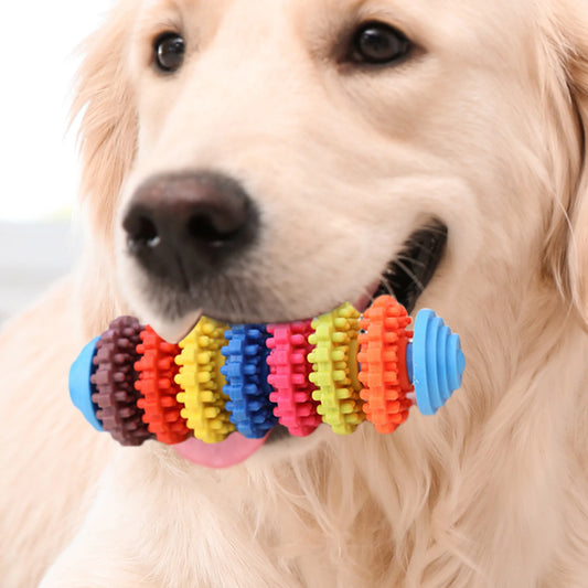 Dog Teething Toys Colorful Dog Chew Toys Dog Teeth Cleaning Toys Multifunctional Small Dog Teething Toys for Indoor Outdoor