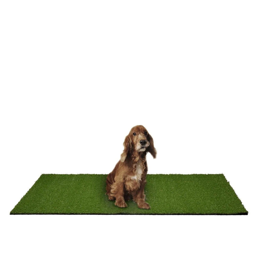 Puppy Pee Pad 3ft x 4ft Easy Clean Non-Toxic Artificial Grass Turf with Drainage Holes Durable Stain-Resistant Low Pile