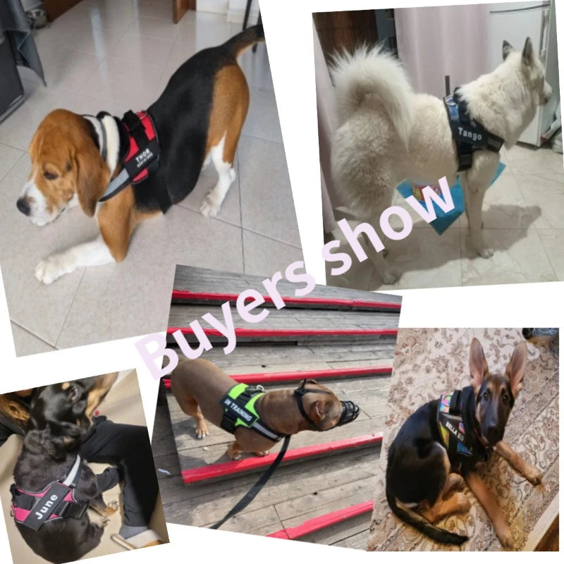 Personalized Dog Harness  Reflective Adjustable No-Pull Pet Harness Vest For Small Medium Large Dogs wholesale harness