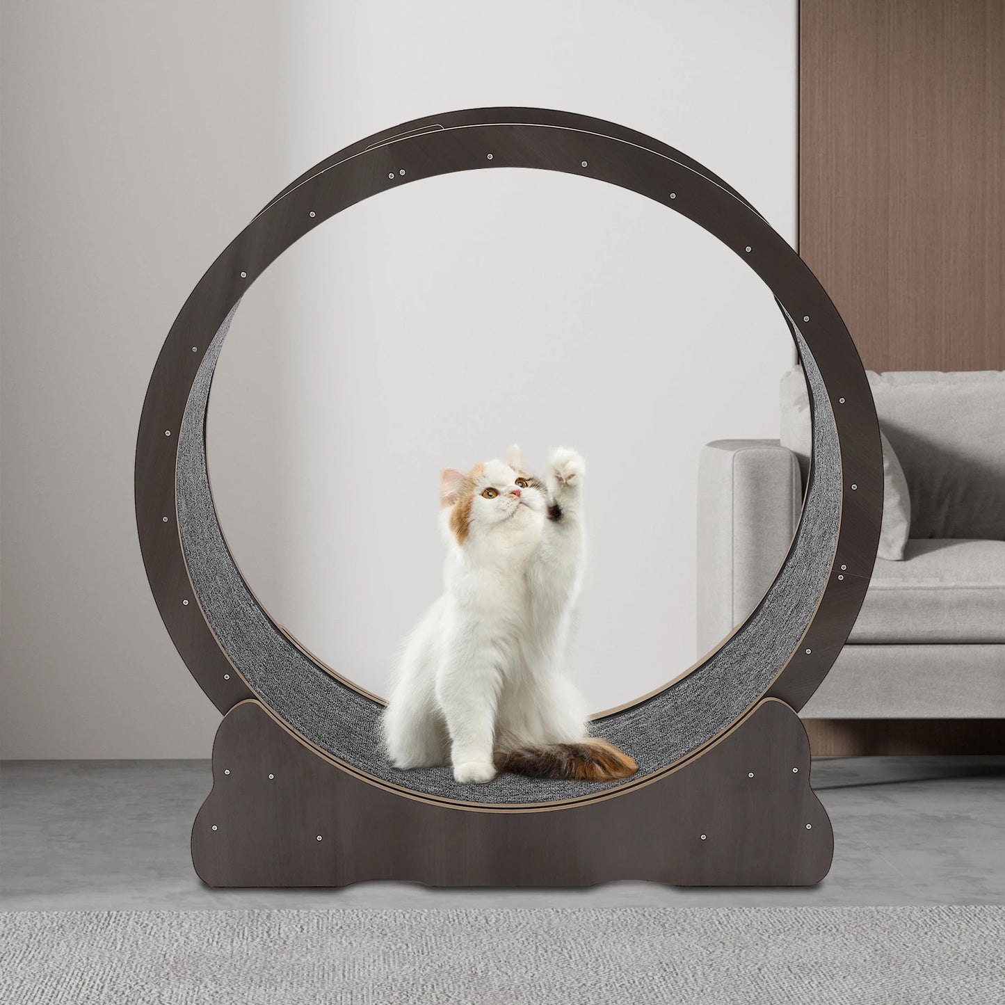 Modern Brown Cats Wheel Round Cat Running Exercise Wheel Indoor Cats Floor Mount