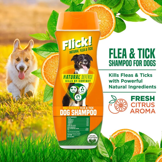 Natural Flea Tick Shampoo Dogs Max Strength Essential Oils Kills Repels Fleas Ticks Mosquitoes Soap Free Cleansing Gentle Long