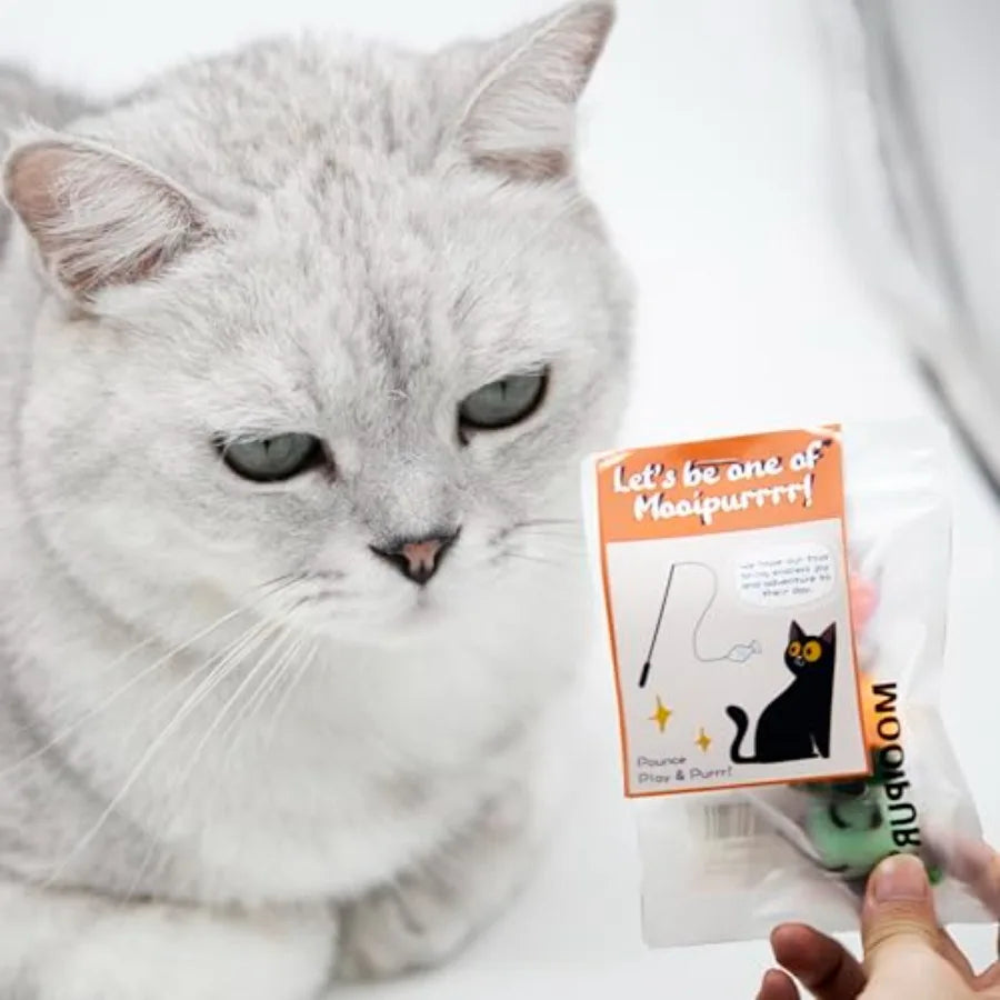 Cat Wand Attachment Toys 5 PCS Fly Bugs Refi with Be for Cat Teaser Chase and Exercise Toys for Indoor Cats and Kittens Enrichm