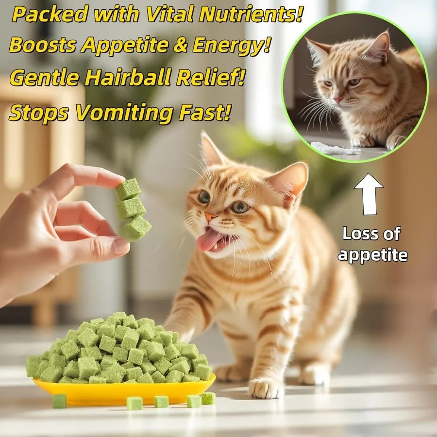 Cats Grass Treats 60g 2.12oz Catnip Toy Fish Oil Freeze Dried Chicken Cat Food Hairball Removal Kitten Chew Sck Cleaning Teeth