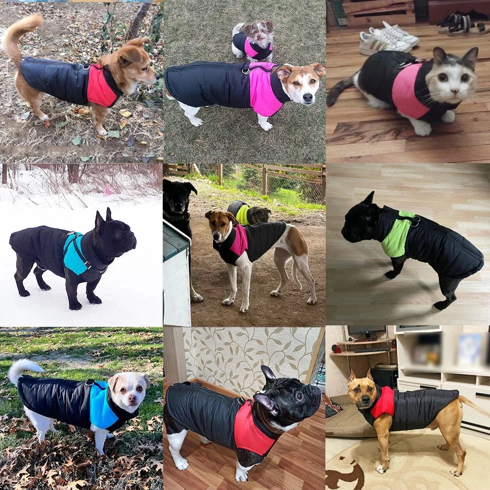 Pet Dog Jacket Warm Winter Clothes For Small Large Dogs Labrador Coat Windproof Waterproof Costume Vest With Pug