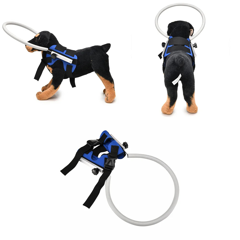 Blind Pet Anti-Collision Collar, Dog Guide, Training Behavior Aids,Prevent Collision Collars, Pet Supplies