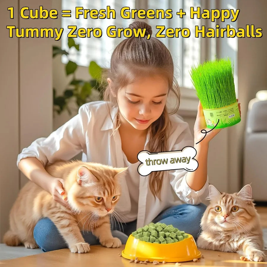 Cats Grass Treats 60g 2.12oz Catnip Toy Fish Oil Freeze Dried Chicken Cat Food Hairball Removal Kitten Chew Sck Cleaning Teeth