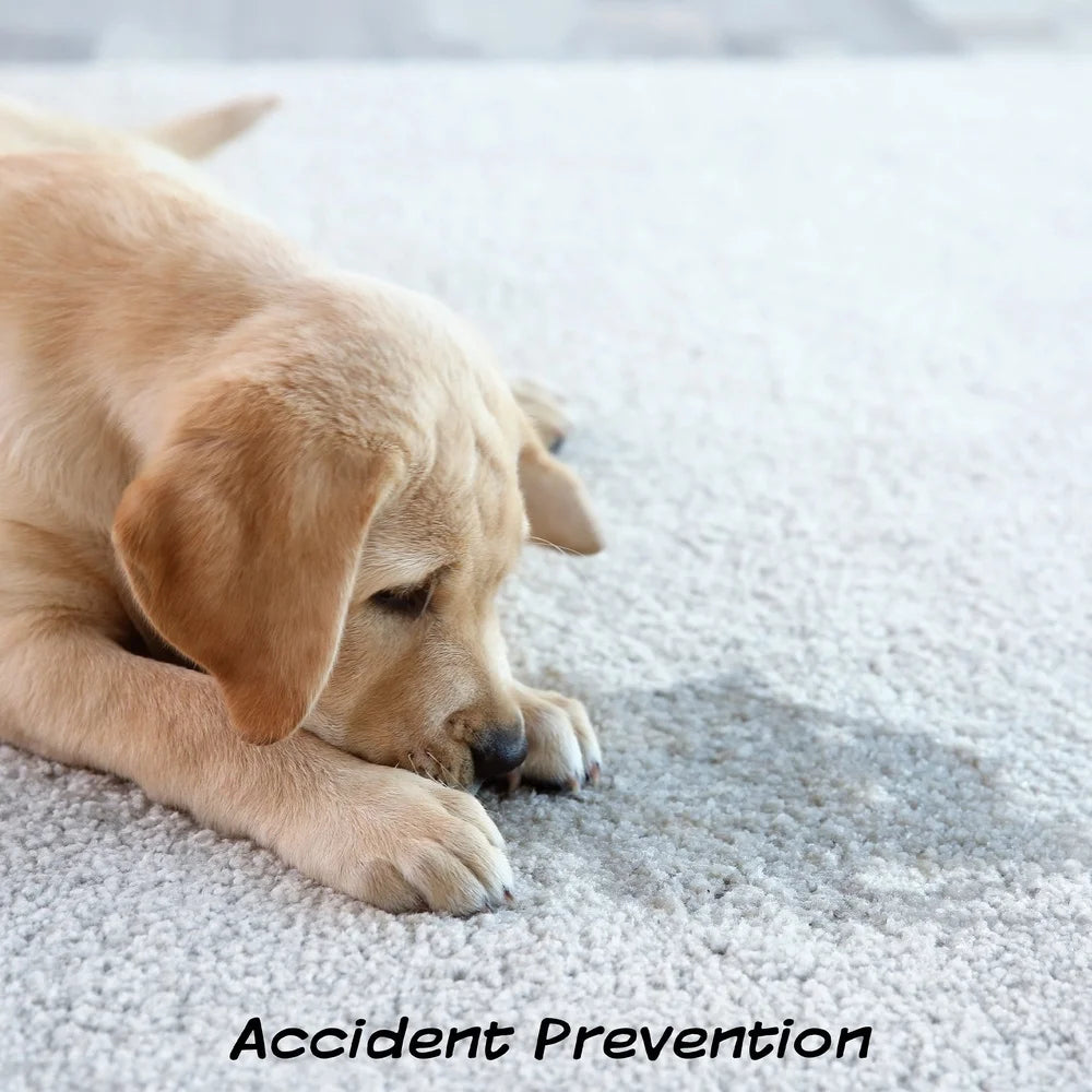 Set of 3 Reusable Dog Pee Pads Indoor Training Essentials Easy Clean Synthetic Plastic Turf Grass Replacement