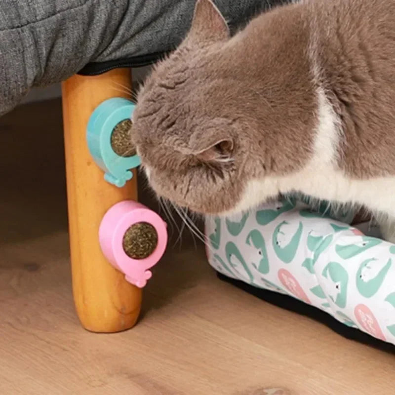 Ball Cat Pet Teeth Licking Licking Catnip Cleaning Wall Supplies Spherical Catnip Ball Toy Kitten Rotatable Wall Ball Treats