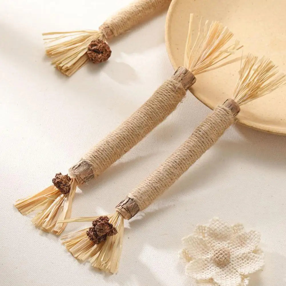 1/2/5/10PCS Pet Toy Natural Pet Cat Snacks Stick Cleaning Tooth Catnip Cat Toys Actinidia Silvervine For Training Cats Accessory