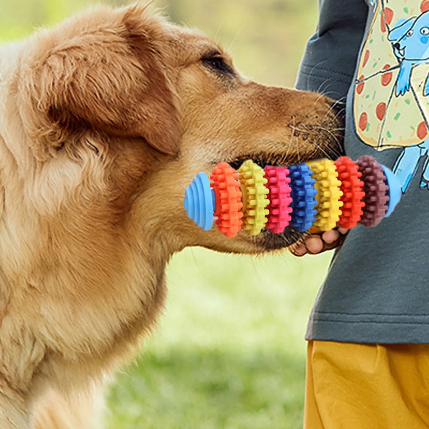 Dog Teething Toys Colorful Dog Chew Toys Dog Teeth Cleaning Toys Multifunctional Small Dog Teething Toys for Indoor Outdoor