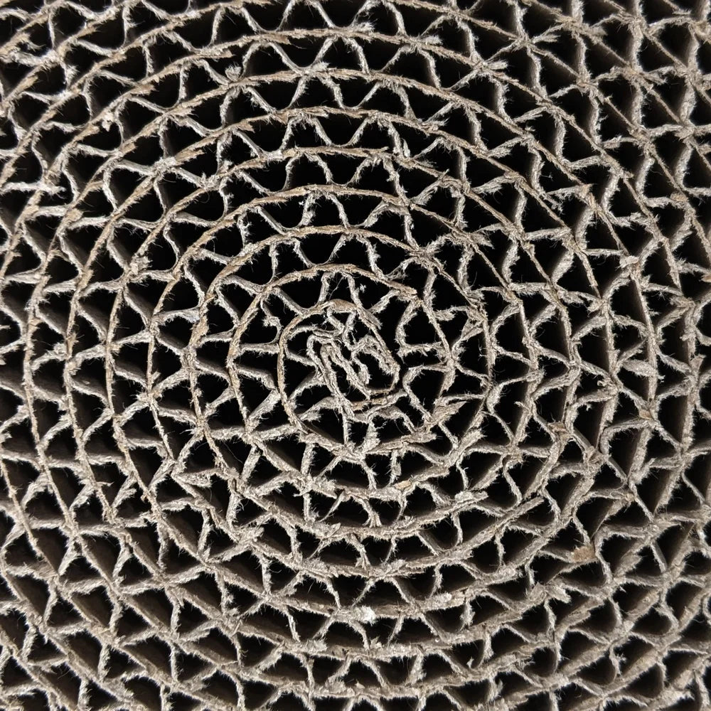 Interactive Cat Scratcher Toy Round Track with Spinning Ball Catnip Scratch Pad Fun Exercise Cats Lightweight No Assembly