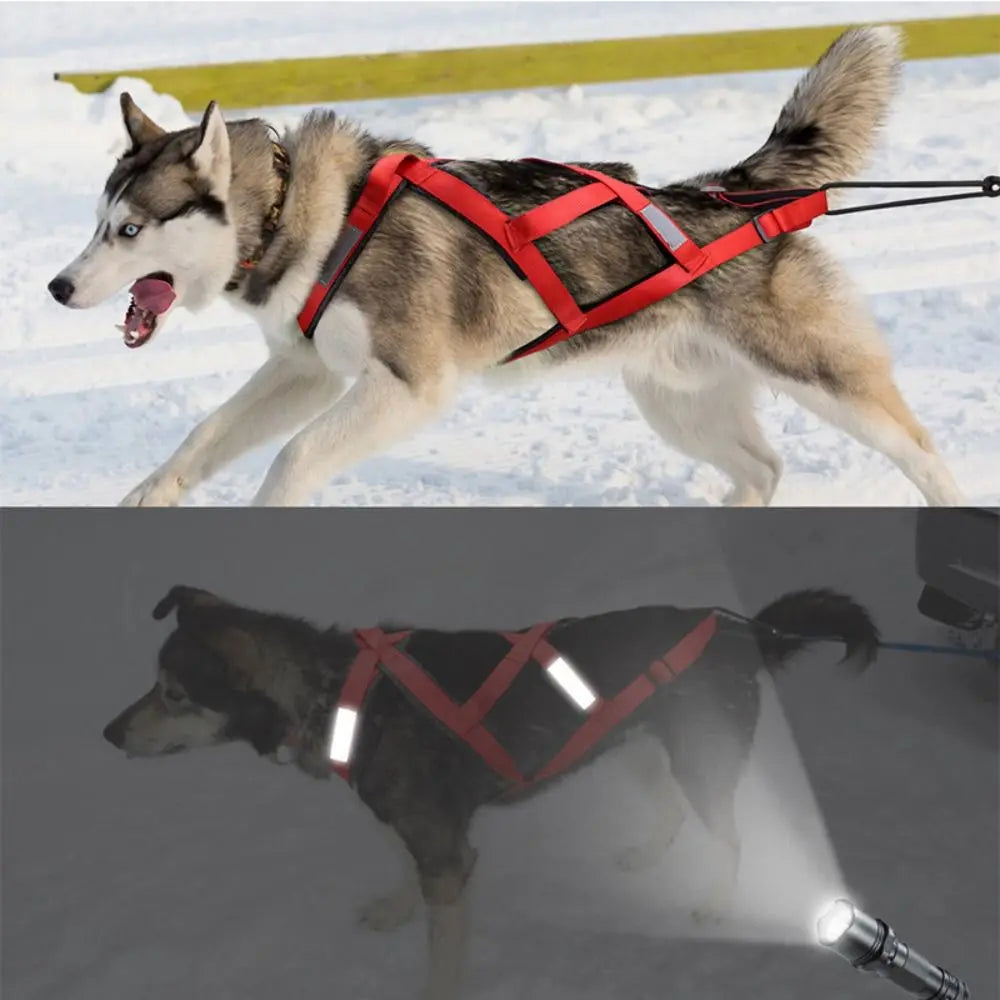 Reflective Dog Harness Adjustable Weight Mushing Dog Sled Harness Pulling Sledding Skijoring Pet Back Chest Strap Large Dogs