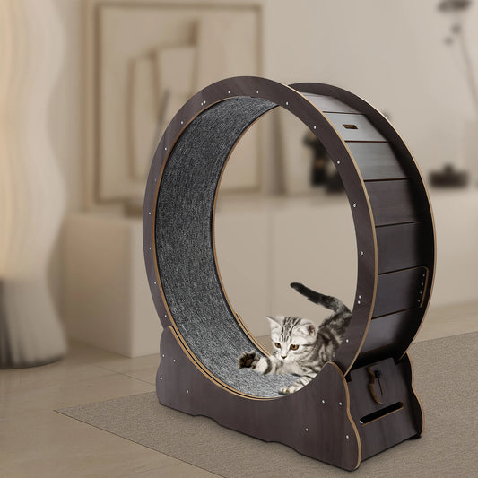 Modern Brown Cats Wheel Round Cat Running Exercise Wheel Indoor Cats Floor Mount