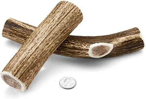 Medium Whole Elk Antler 2 Pack - Elk Antler Dog Chew - Grade A Premium - Organic - Made in USA - No Mess