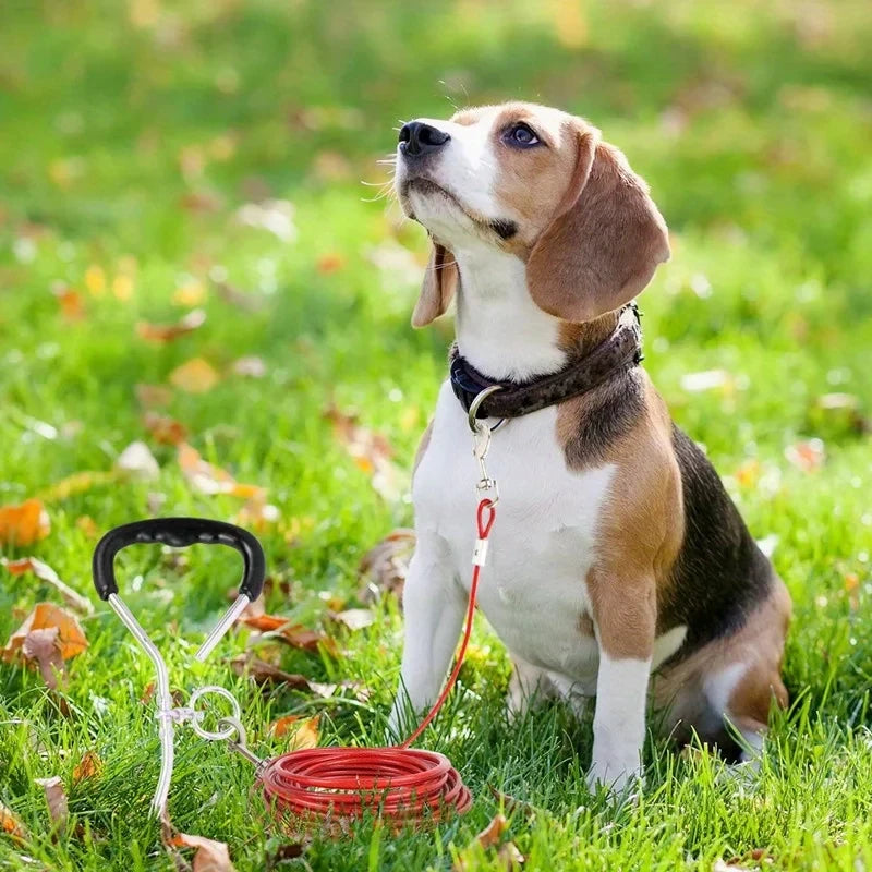 High Quality 5mm*3m Lengthen Steel Wire Dogs Rope Chain Durable Double-end Dogs Leash Cable Dual Heads Metal Hooks Pet Supplies