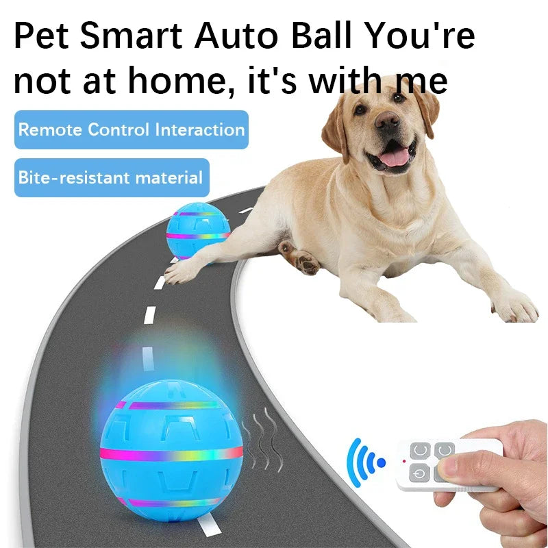 New Pet Electric Toy Ball Teasing Dog Flash Remote Control Intelligent USB Rechargeable Dog Toys Bite-resistant Pet Supplies