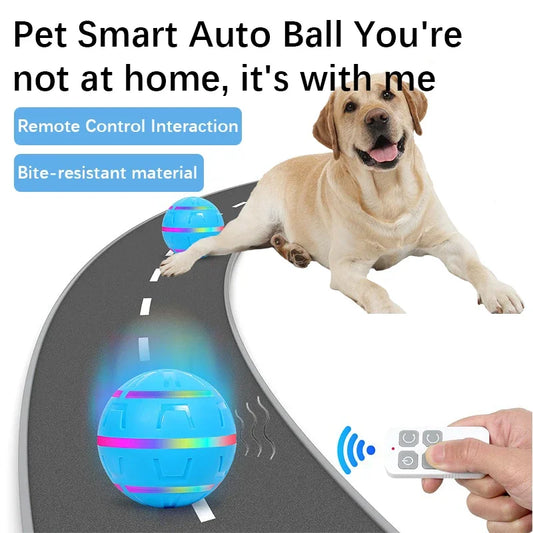 New Pet Electric Toy Ball Teasing Dog Flash Remote Control Intelligent USB Rechargeable Dog Toys Bite-resistant Pet Supplies