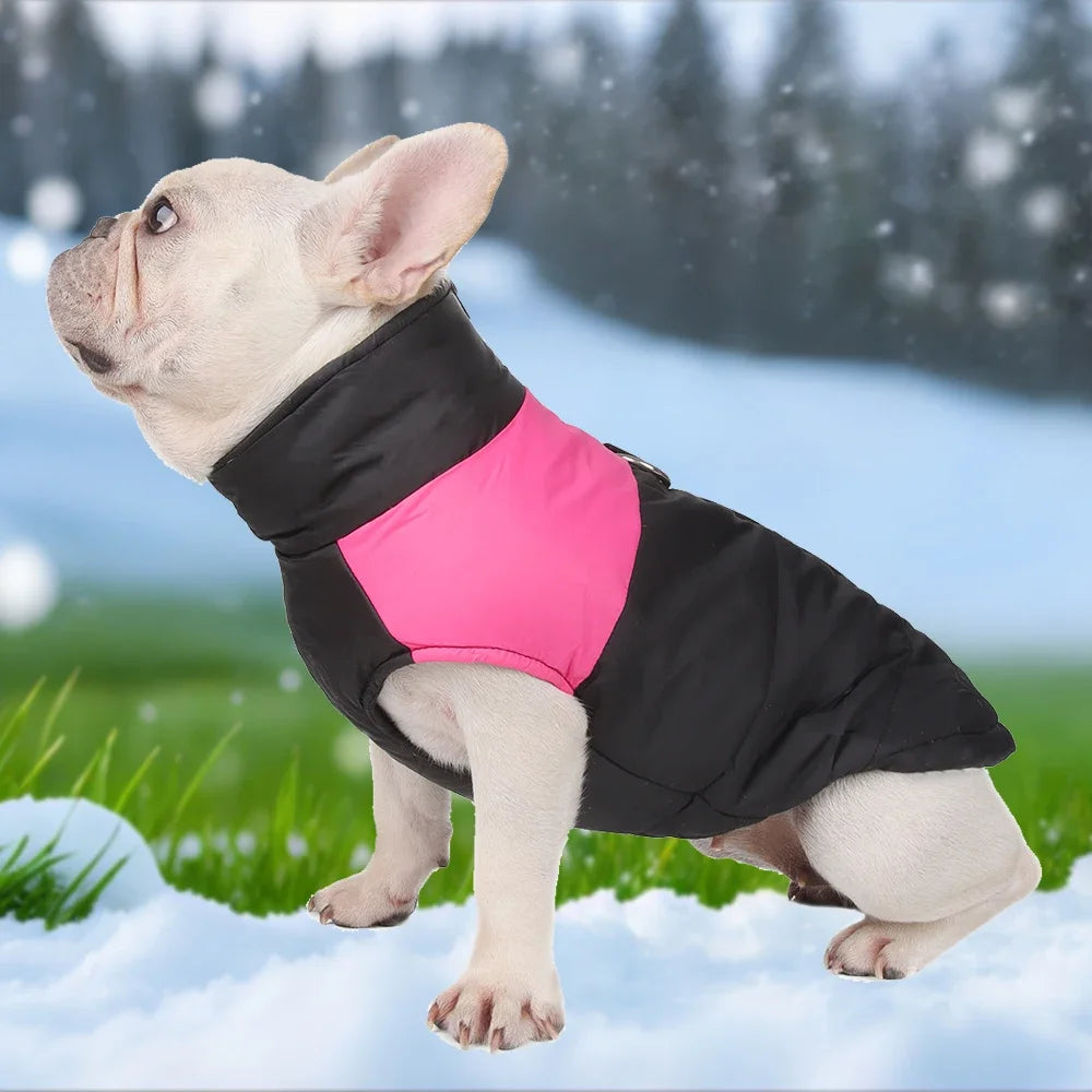 Pet Dog Jacket Warm Winter Clothes For Small Large Dogs Labrador Coat Windproof Waterproof Costume Vest With Pug