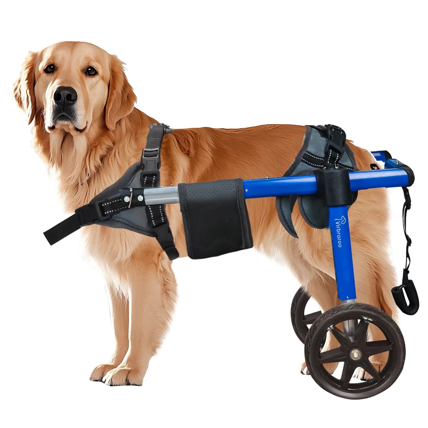 Dog Wheelchair For Back Legs Dog Wheelchair With All-Terrain Tires & Durable Bearings Large Dog Wheelchair For Back Legs