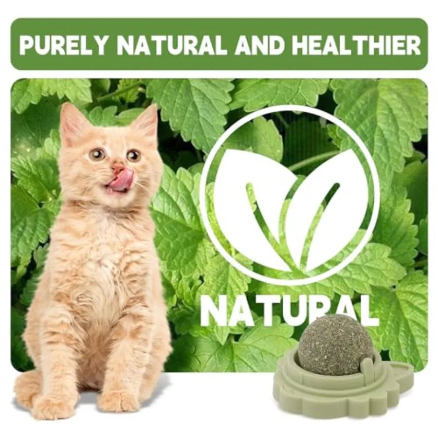 3Pcs Catnip Toy Ba with Three Mixed Flavors ture Edible Cat Silvervine Chew Toys Healthy Kitten Wall Treats Teeth Cleaning Toys