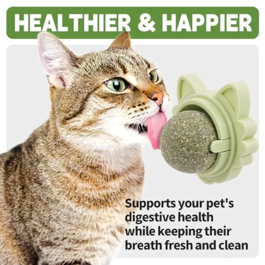 3Pcs Catnip Toy Ba with Three Mixed Flavors ture Edible Cat Silvervine Chew Toys Healthy Kitten Wall Treats Teeth Cleaning Toys