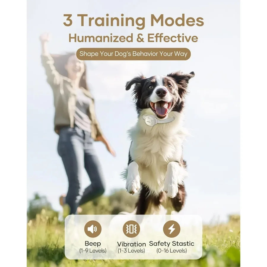 Dog Training Collar 4200FT Remote Dog Collar with 3 Training Modes Dog Collars for Small Dogs with Security Lock IPX8Waterproof