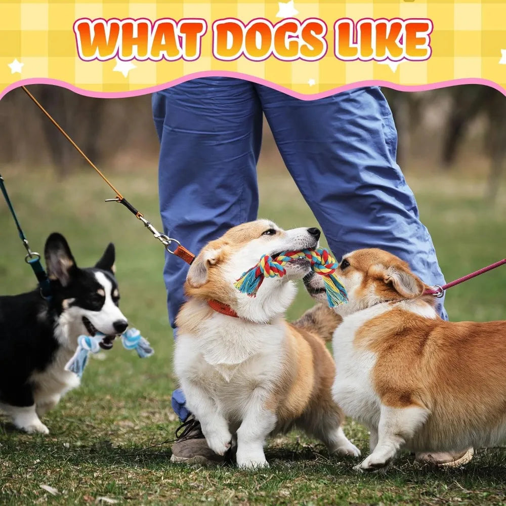 100 Pieces Knot Rope Dog Toys Multi Color Puppy Chew Toy Cotton Puppy Toys Dental Dog Teething Toys 2 Knot Dog Tug for Small and